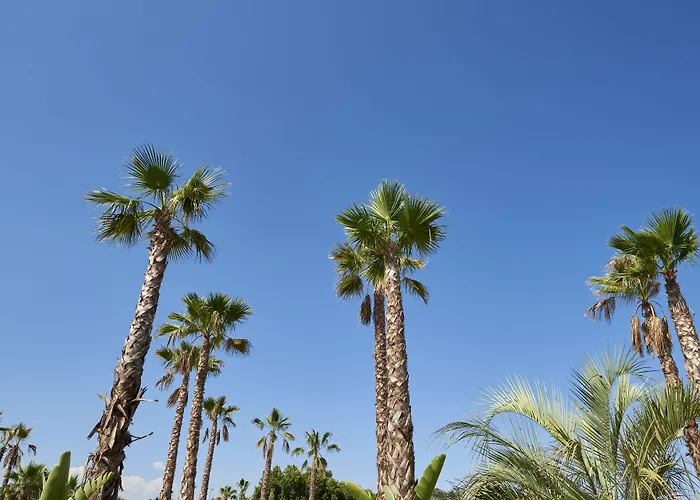 Camping Les Prairies De La