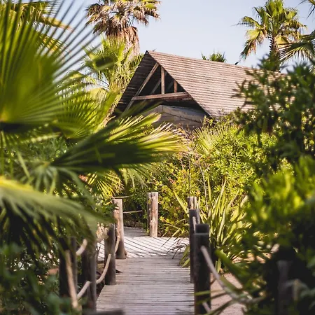 レ プレイリー デ ラ メール 5* グリモー