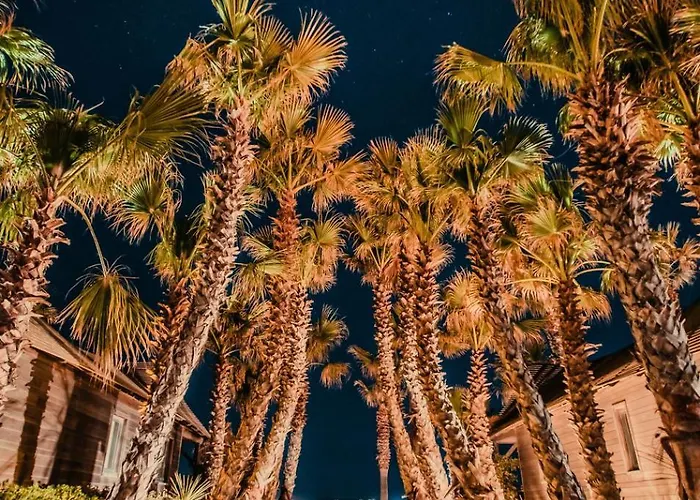 Kemping Les Prairies De La 5*